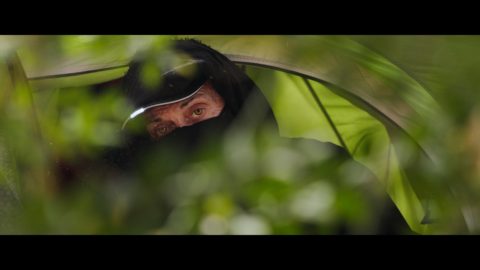 Frankenstein_diptych