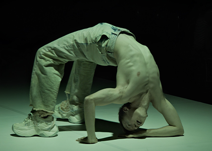 https://emiliaromagnateatro.com/en/production/diluvio/